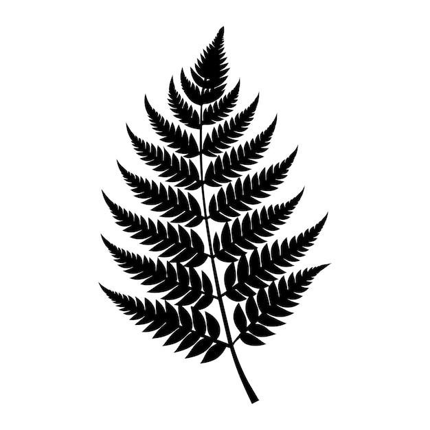 A black and white silhouette of a fern leaf