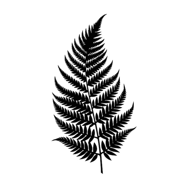 A black and white silhouette of a fern leaf