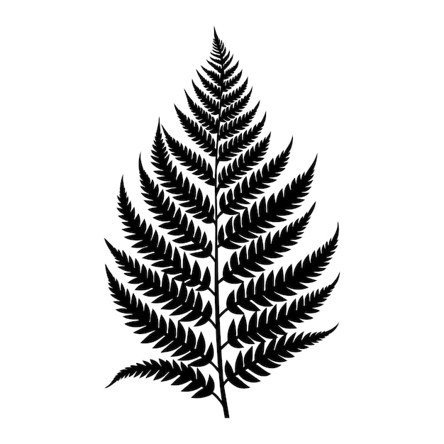 A black and white silhouette of a fern leaf