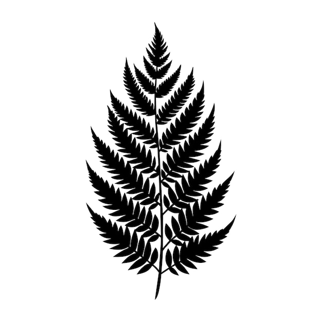 A black and white silhouette of a fern leaf