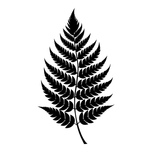 A black and white silhouette of a fern leaf