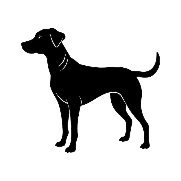 Black and white silhouette of a Hunting dog standing