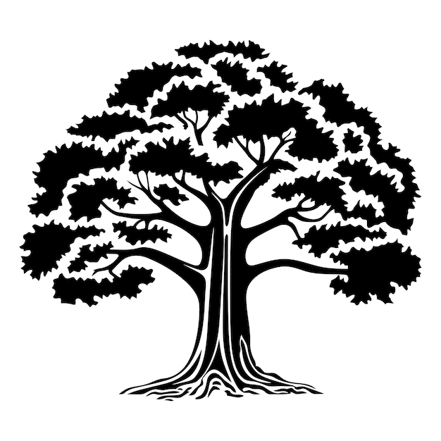 Vector black and white silhouette of a large majestic tree