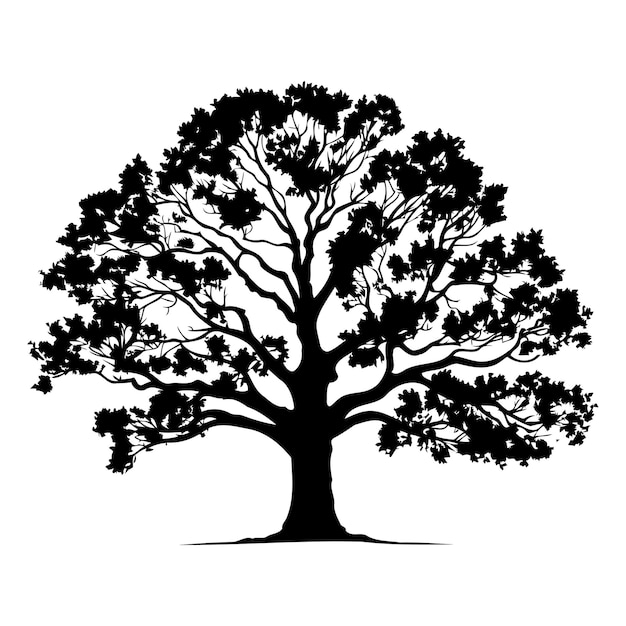 Vector black and white silhouette of a large spreading tree