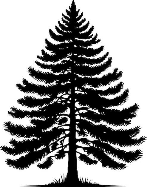 Vector a black and white silhouette of a pine treevector black color silhouette