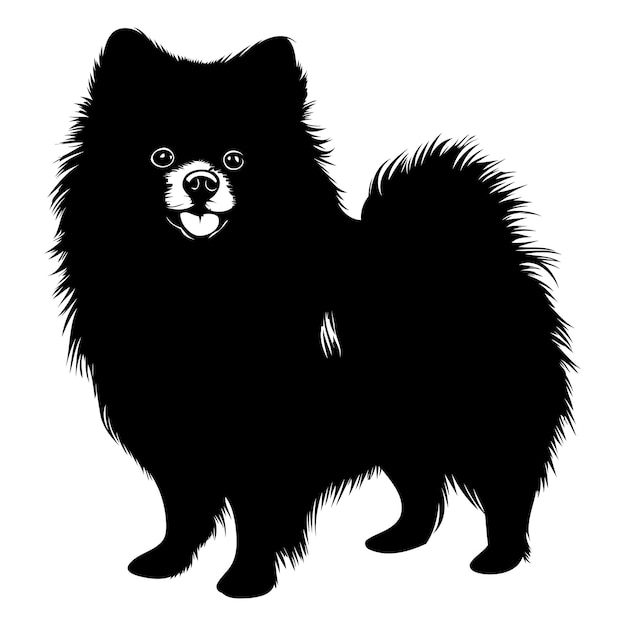 Vector black and white silhouette of a pomeranian dog standing with a fluffy tail