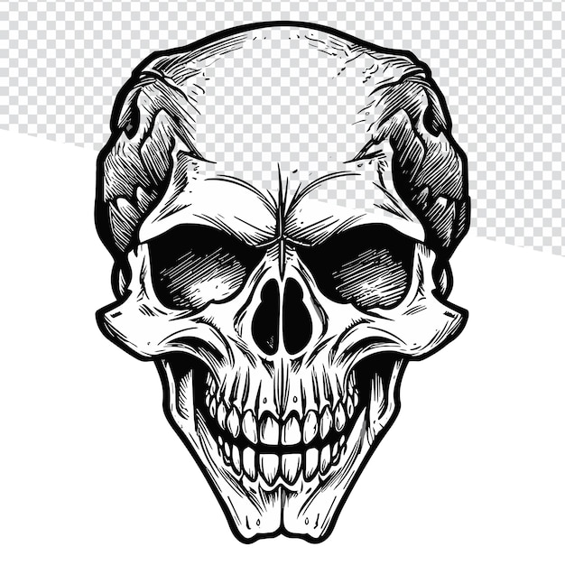 Black and White Skull Outline Illustration for Doodle Art Coloring Pages and Vector Projects