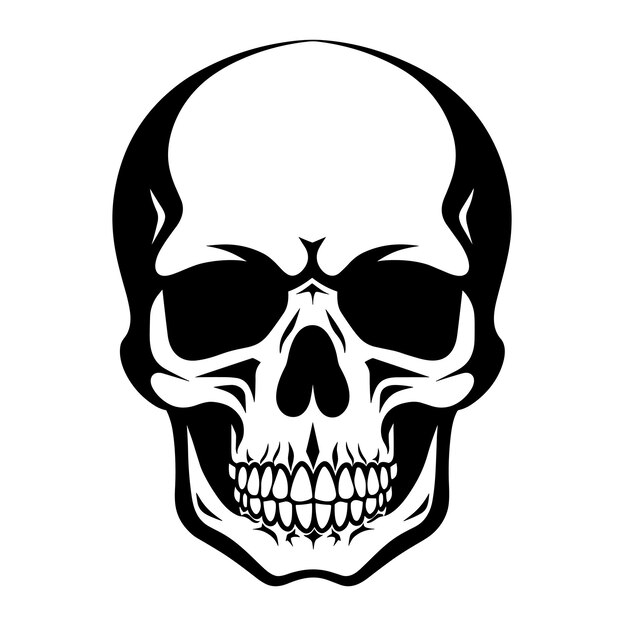 Vector a black and white skull with a black outline of a skull