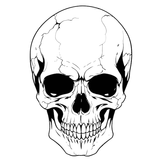 a black and white skull with a white face and a black and white skull