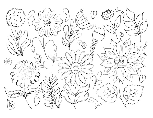 Black and white summer flloral illustation Wildflowers sketch in vintage syle Flowers tatto