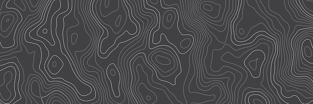 Black and white topographic map lines contour background Geographic lines map assignment pattern