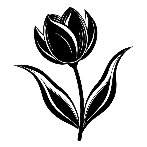 A black and white tulip on a white background vector illustration silhouette