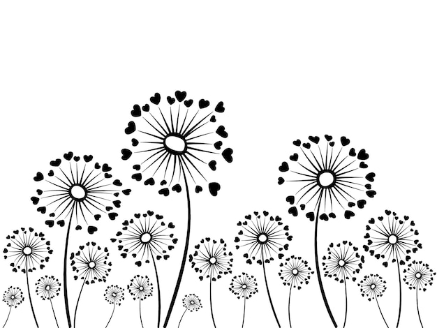 Black and white vector dandelion herbs Floral background design with taraxacum plant