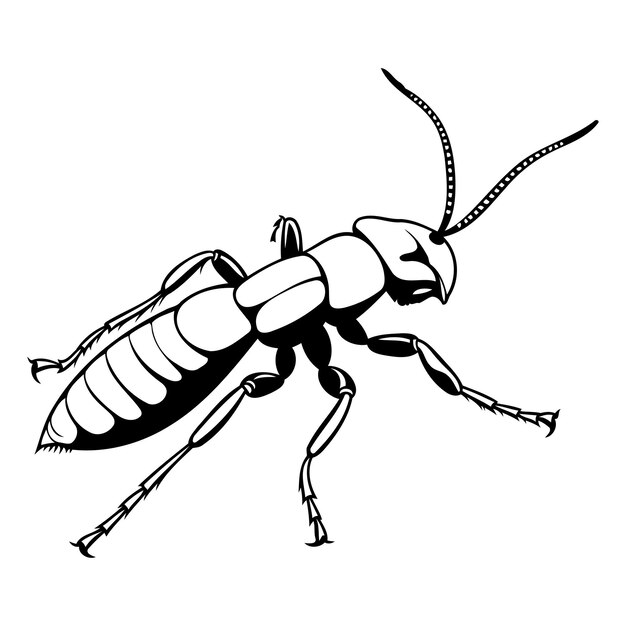 Vector black and white vector illustration of an ant ideal for graphic design tattoo designs or naturethemed projects