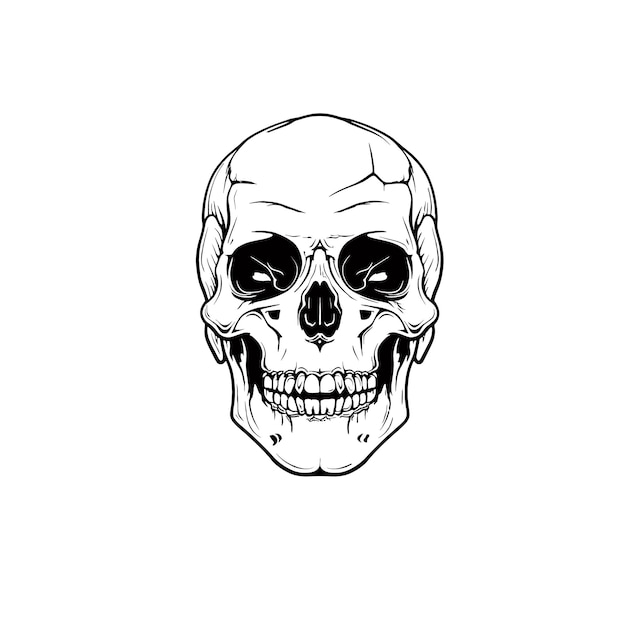 Black and white vector image of a human skull