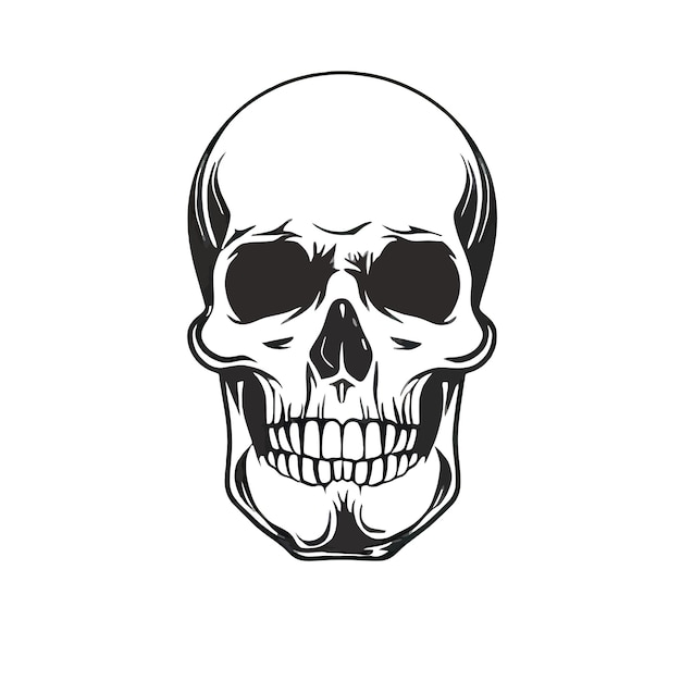 Black and white vector image of a human skull