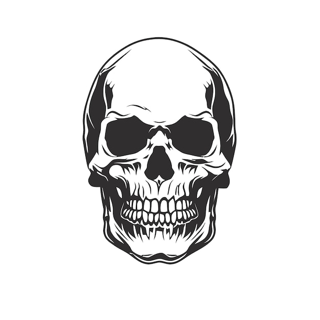 Black and white vector image of a human skull