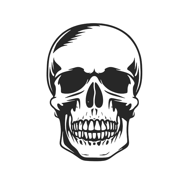 Black and white vector image of a human skull