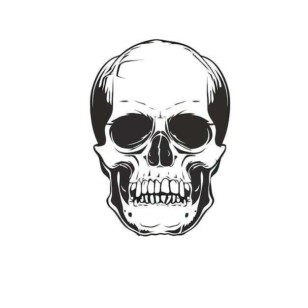 Black and white vector image of a human skull