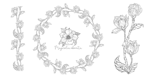 Black and white. White magnolia. Vector illustration. Botanical illustration. Flower Wreath