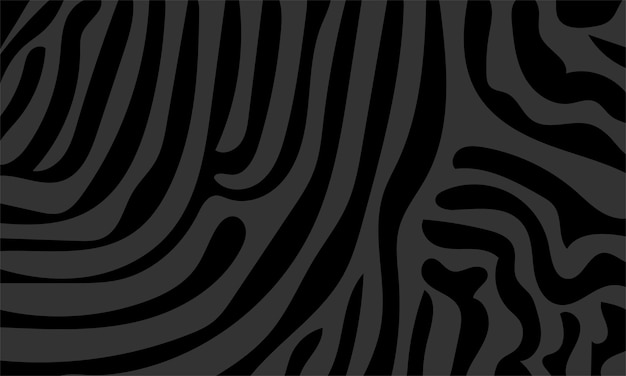 A black and white zebra pattern with lines.