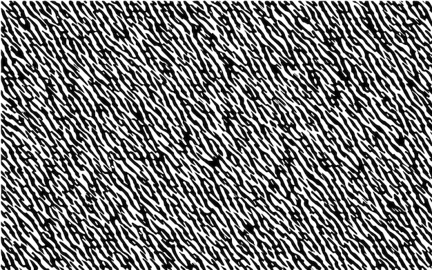 Black and White Zebra Texture Pattern Design. Overlay Grunge Background