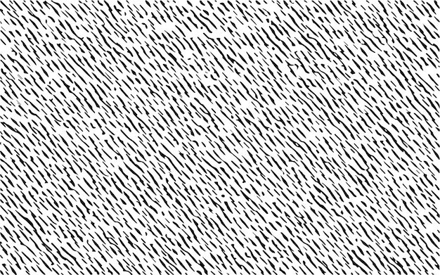 Black and White Zebra Texture Pattern Design. Overlay Grunge Background