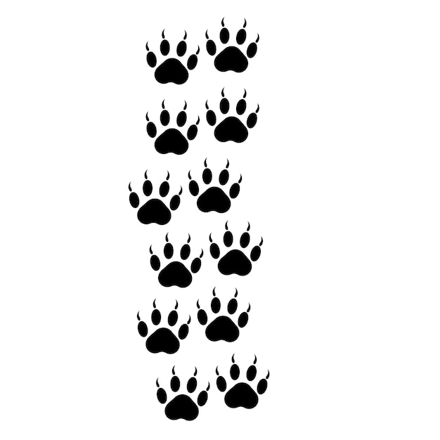 Black wolf tracks Vector illustration