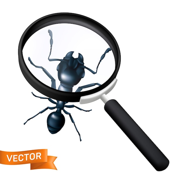 Black worker ant is explored under a magnifying glass. Head of an ant close-up with antennae and jaws. 3D realistic vector illustration of an insect viewed through a magnifier on a white background