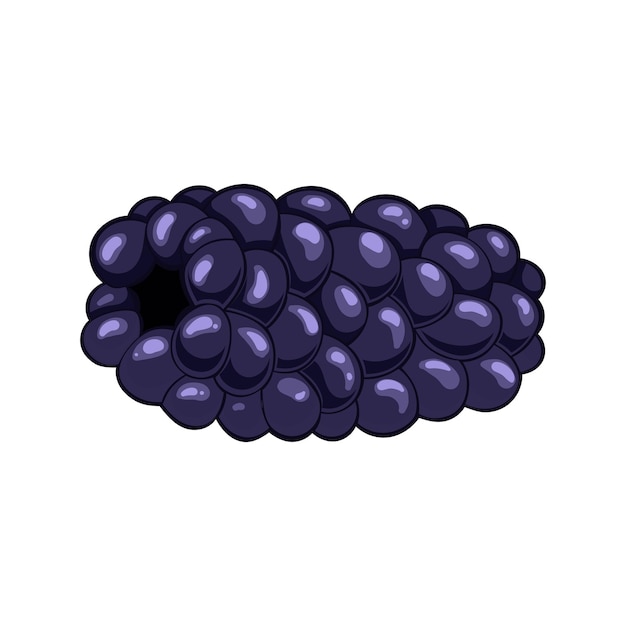 Blackberry berry nature cartoon vector illustration