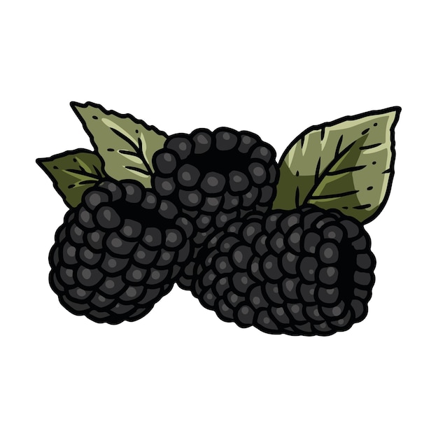 Blackberry botanical lineart vector icon Bramble dewberries comic style image Hand drawn isolated lineart image for prints designs cards For books stickers posters