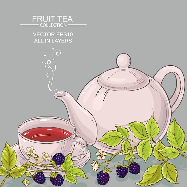 Blackberry tea vector background