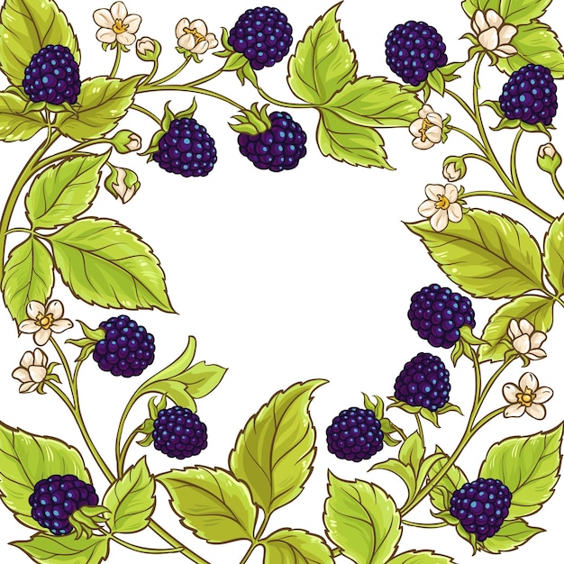 Blackberry vector frame