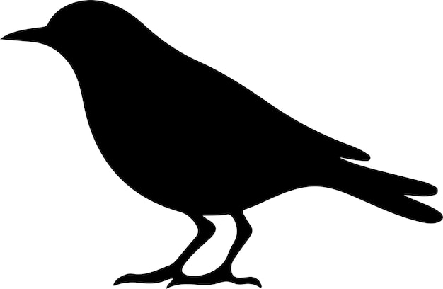 blackbird black silhouette with transparent background