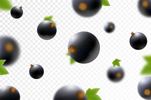 Blackcurrant background Flying currant with green leaves on transparent background Falling berries from different angles Focused and blurry objects Realistic 3d vector illustration