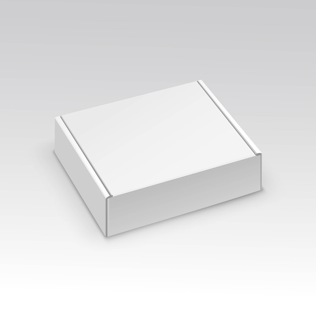 Blank Packaging Package Pack Box Isolated 