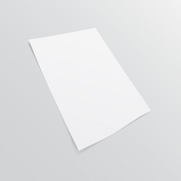 Blank paper brochure