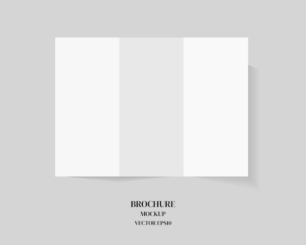 Blank trifold brochure isolated