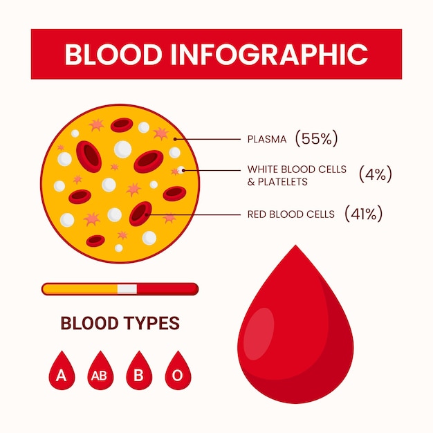 Blood Infographic vector design