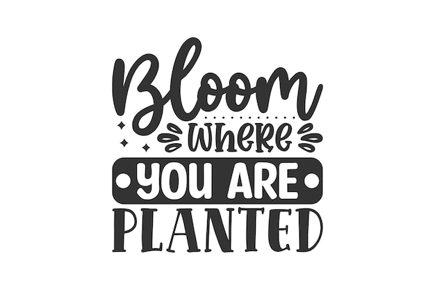 Bloom Where You Are Planted