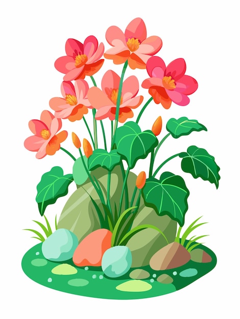 Blooming Begonia flowers among the green grass and stone on white background vector illustration