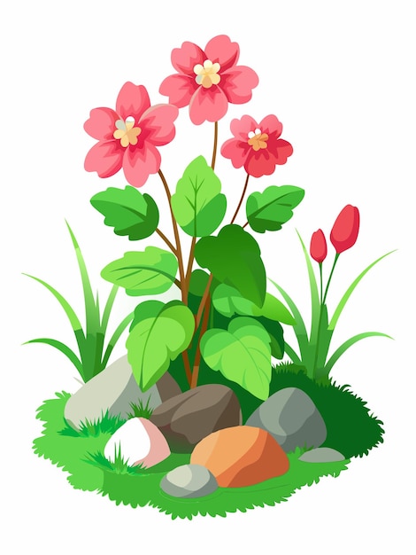 Blooming Begonia flowers among the green grass and stone on white background vector illustration