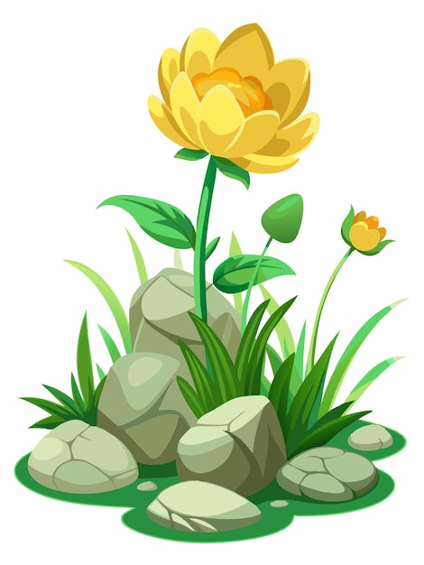 Blooming Buttercup flowers among the green grass and stone on white background vector illustratio