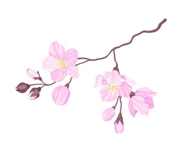 Blooming Cherry Branch with Tender Pink Flower Blossoms Vector Illustration