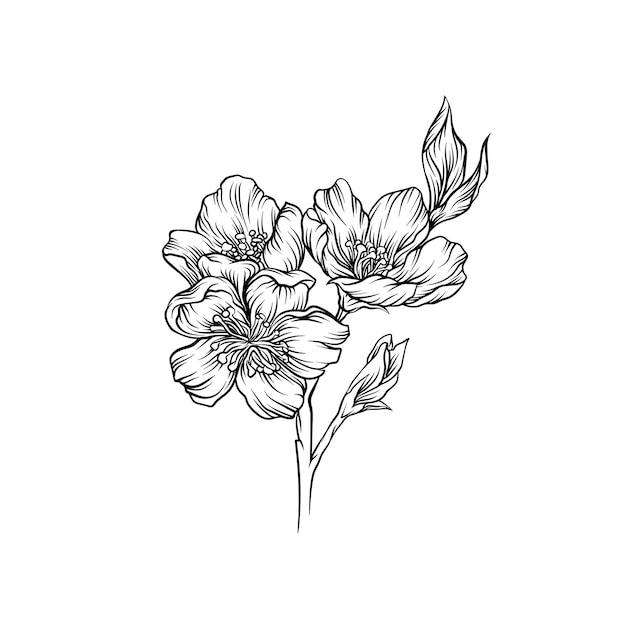 Blooming flower branch black and white hand drawn floral design element vector Illustration