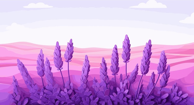 A blooming lavender field vector simple 3d smooth isolated illustration