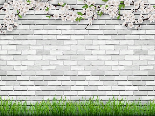 Vector blooming tree branch with flowers and green leaves on white brick wall background