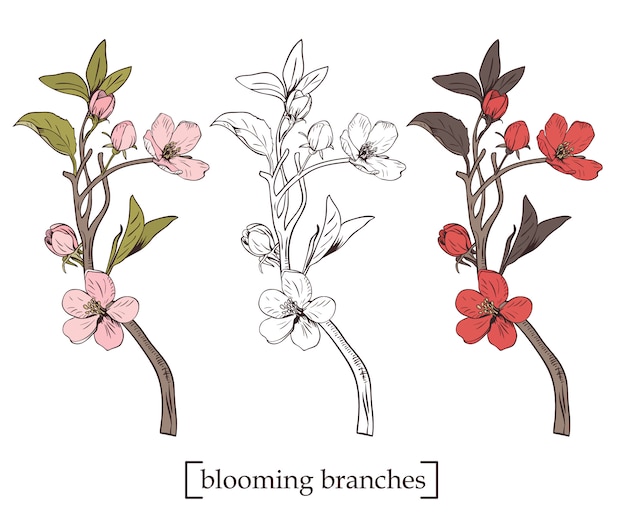 Blooming tree. Set collection. Hand drawn botanical blossom branches