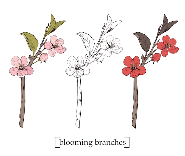 Blooming tree. Set collection. Hand drawn botanical blossom branches