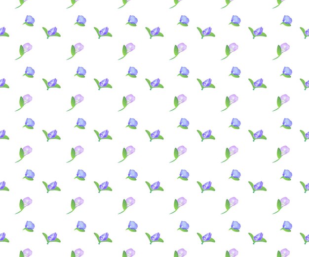 Vector blossom butterfly pea flower as seamless pattern background